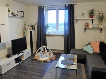 Cihlový byt 2+1, 49m²
