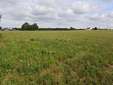 Pozemek 14959m²